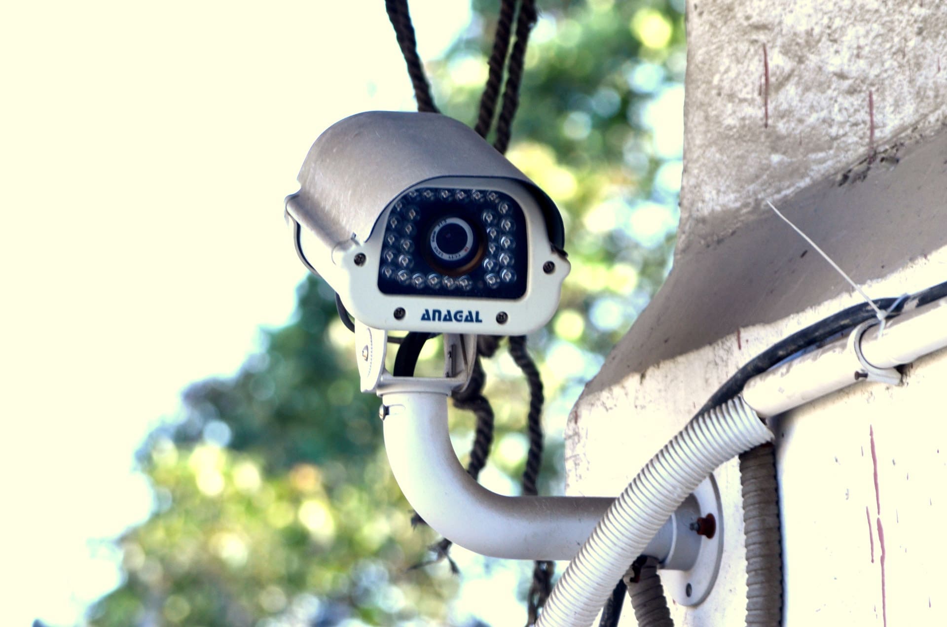 Top-Tier Home Security Systems: Which Are Best?